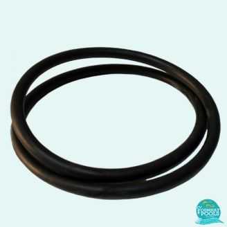 Garnitura capac pentru pompa piscina Maxim Astral Pool 