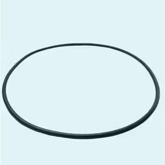 Garnitura capac pompa piscina Maxim AstralPool 