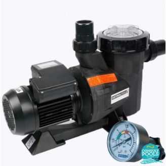Set pompa piscina Victoria 34 mc/h,plus manometru , Astral Pool