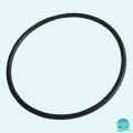 Garnitura capac pompa piscina Pentair Swimmey