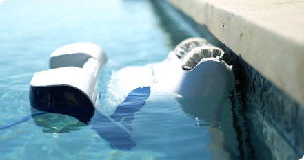 Schimba ambianta piscinei cu decor natural